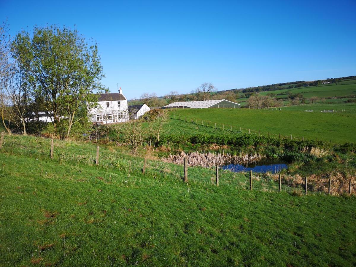 Glen Roe - 3 Bed On Friendly Farm Holiday home