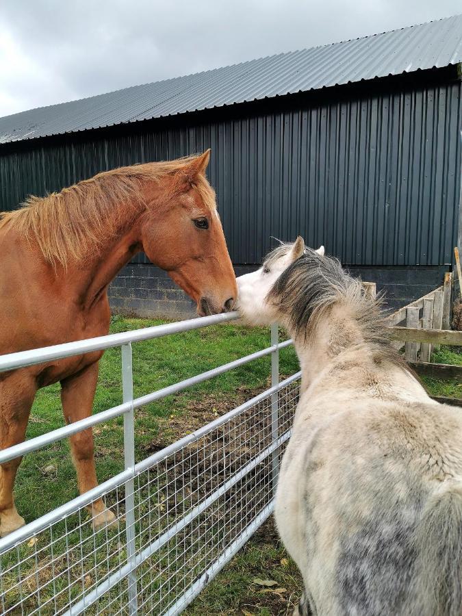 Holiday home Glen Roe - 3 Bed On Friendly Farm New Cumnock