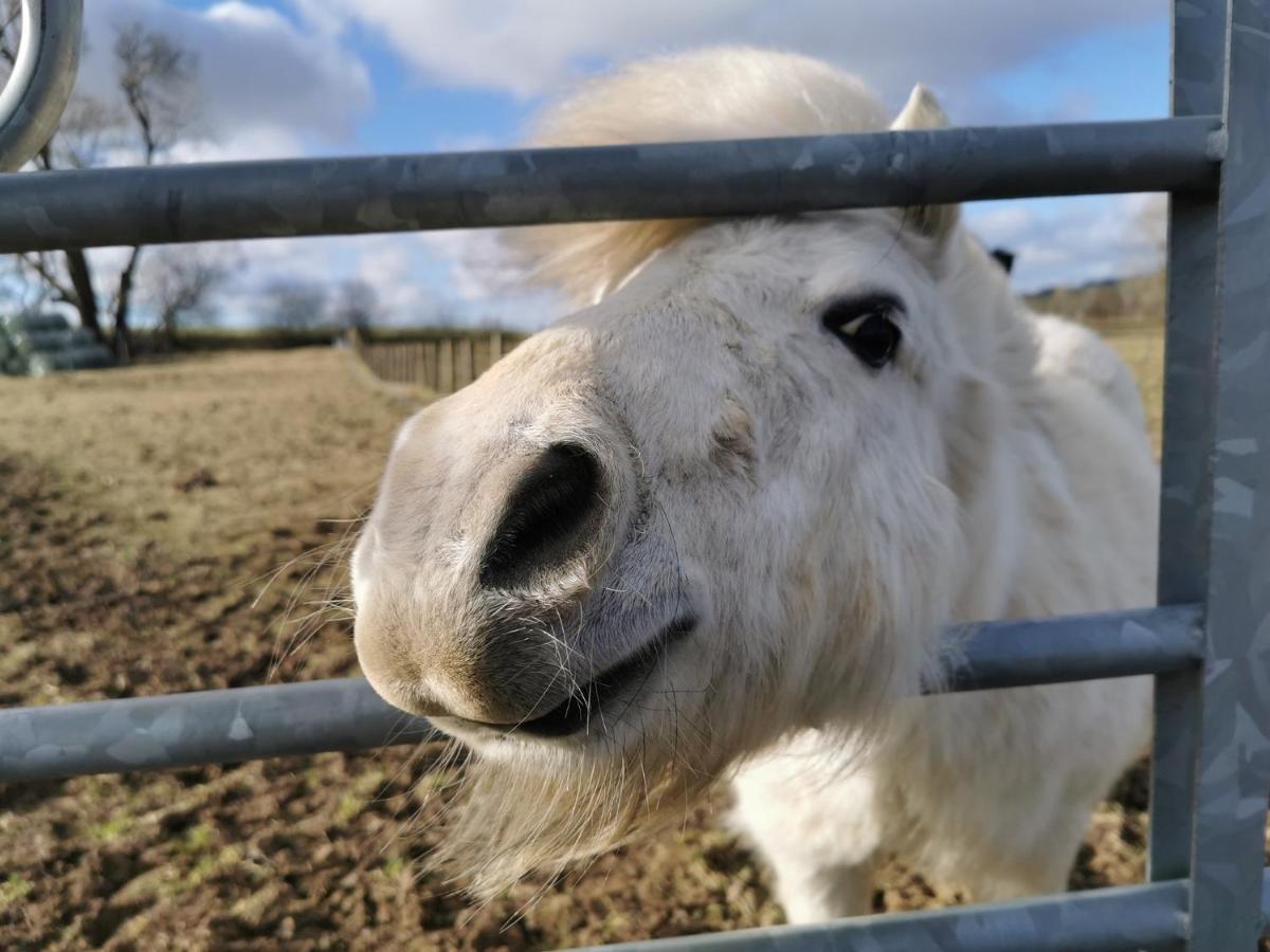 Glen Roe - 3 Bed On Friendly Farm