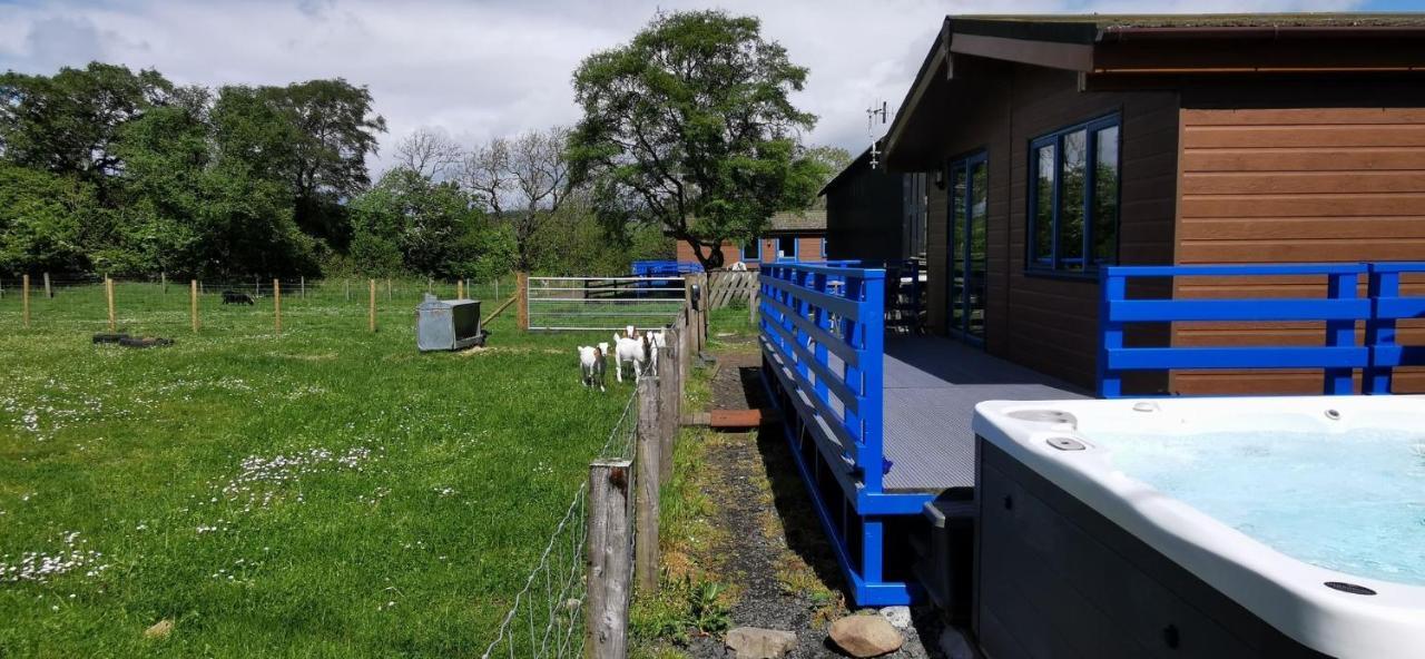 Glen Roe - 3 Bed On Friendly Farm * New Cumnock