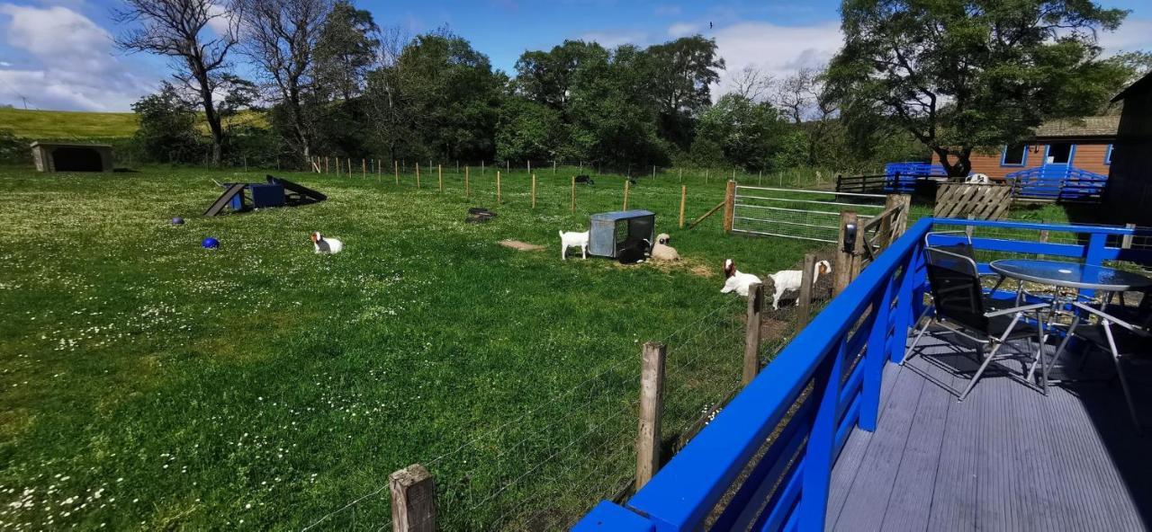 Glen Roe - 3 Bed On Friendly Farm