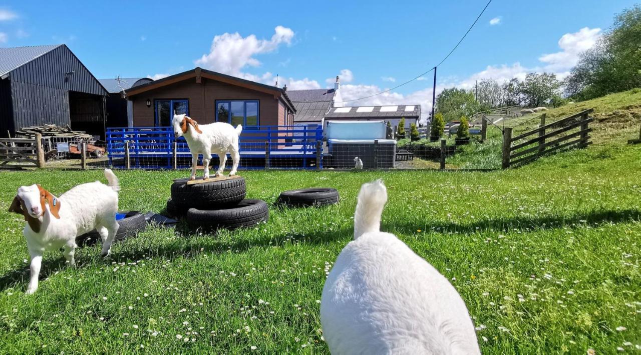 Glen Roe - 3 Bed On Friendly Farm