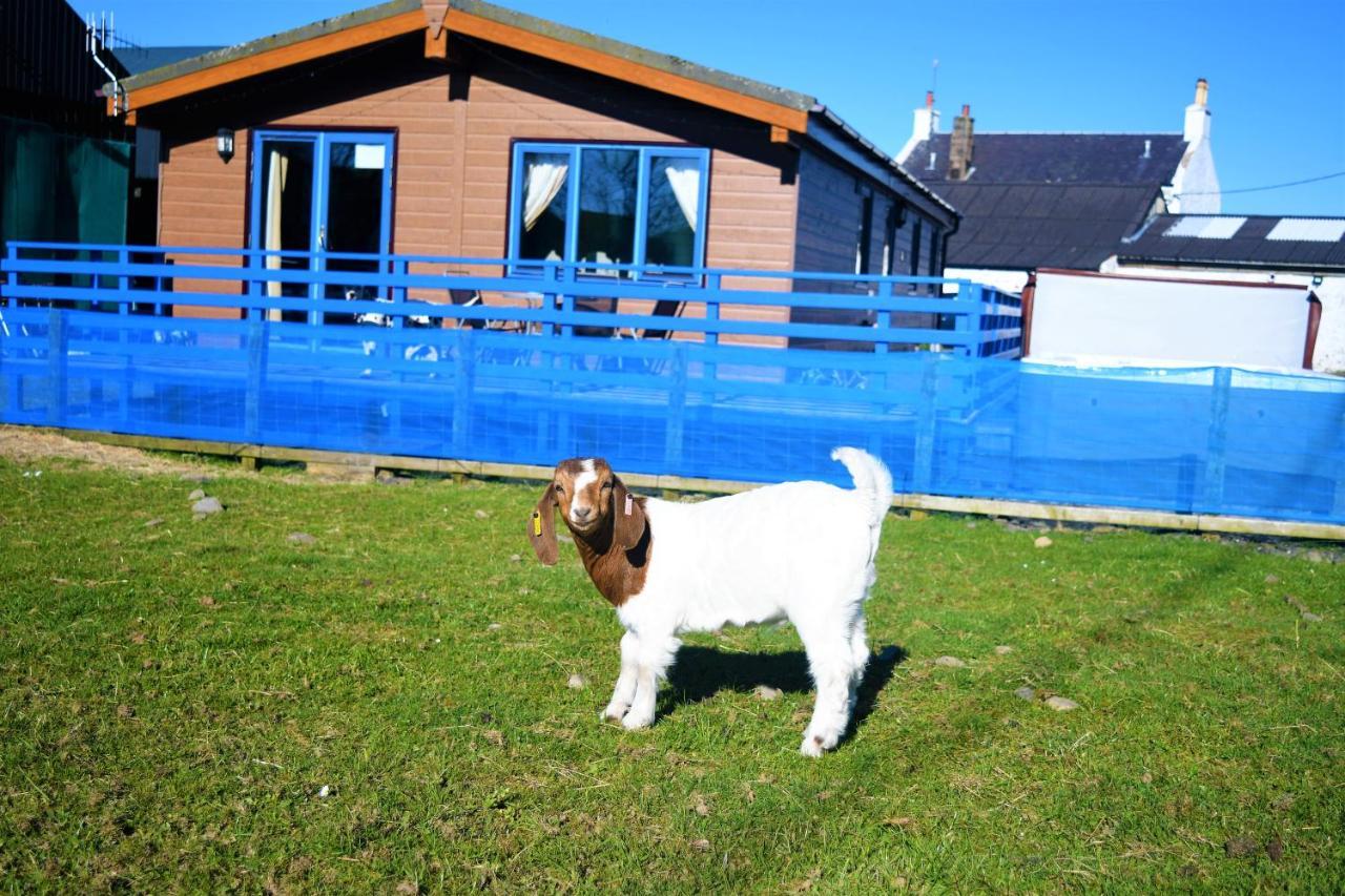 Glen Roe - 3 Bed On Friendly Farm New Cumnock